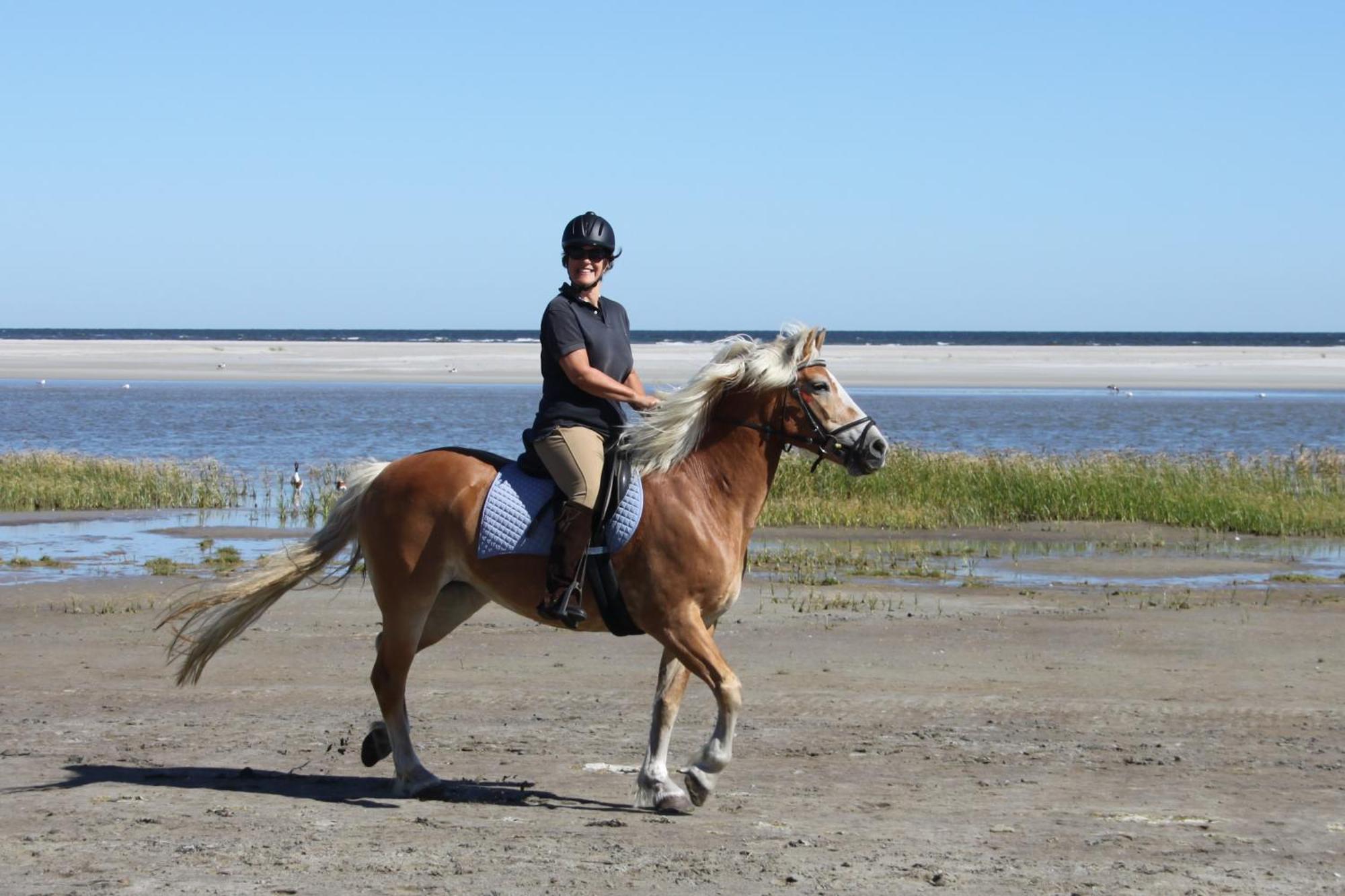 Naar Zee Op Ameland Buren  Dış mekan fotoğraf